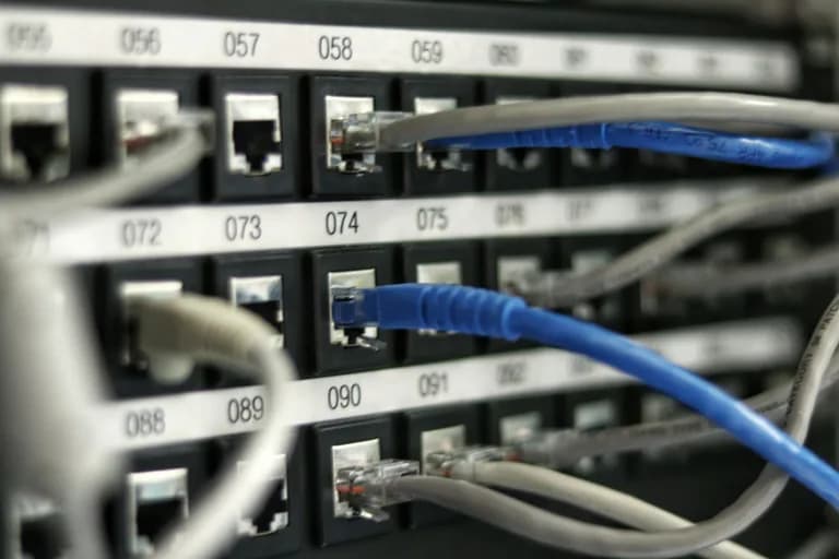 Numaralı ağ dağıtım paneline takılı ağ kabloları